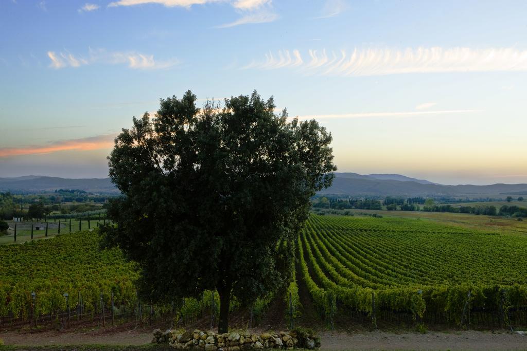 Wine Resort Conti Di San Bonifacio Ribolla Εξωτερικό φωτογραφία