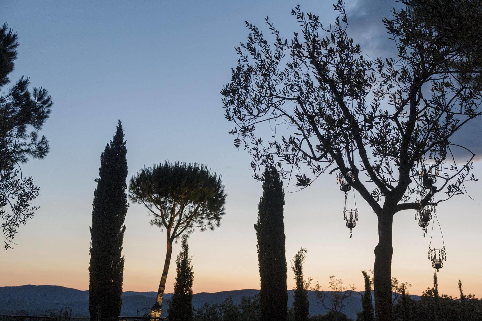 Wine Resort Conti Di San Bonifacio Ribolla Εξωτερικό φωτογραφία